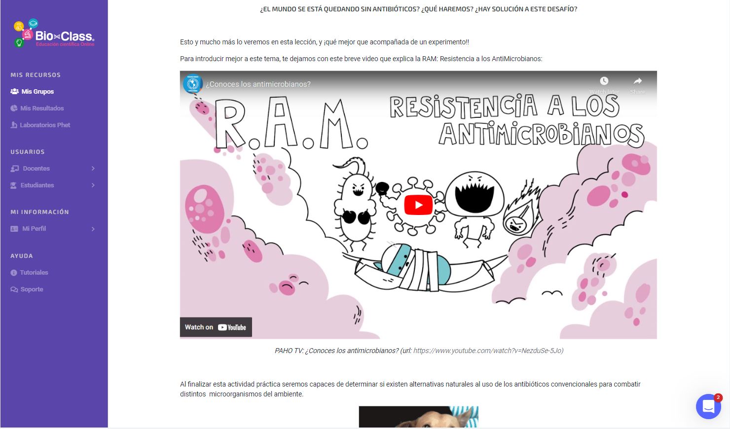 Contenido educativo cautivante.